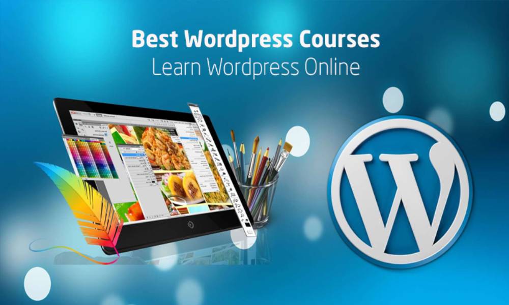 Top 10 Best WordPress Courses For Beginners